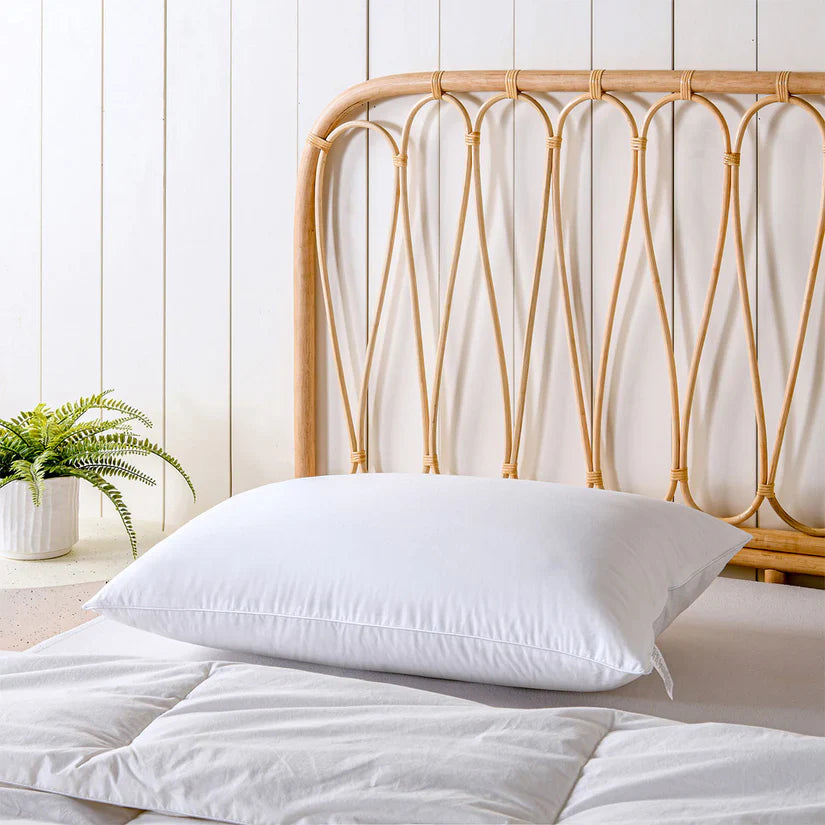 Pillows & Cases